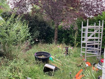 Remise en état d'un jardin à Saint Orens