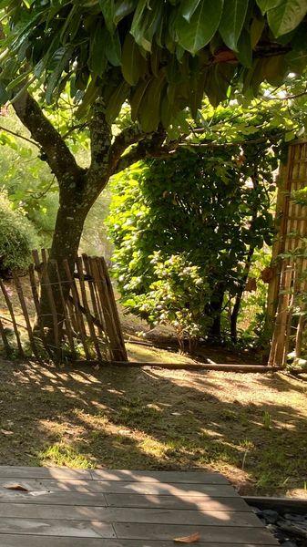 Aménagement d’un jardin à Balma