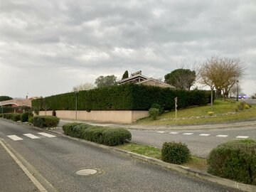 Rabattage d'une haie de Cyprès à Lauzerville