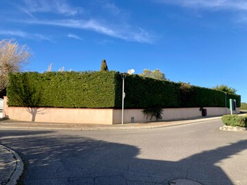 Rabattage d'une haie de Cyprès à Lauzerville