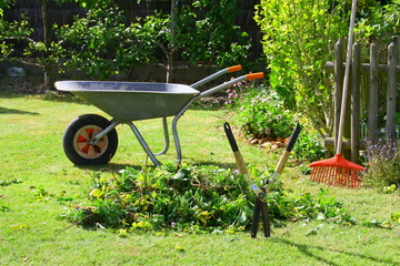 Faites appel à votre paysagiste pour le débroussaillage de votre jardin